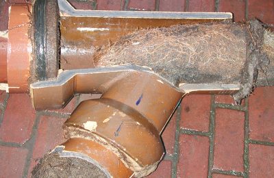 Wurzeleinwuchs in Leitungen